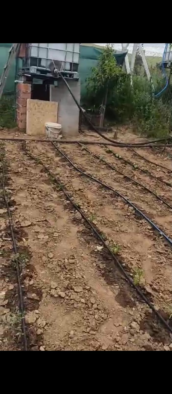 Kurulu düzen satılık satılıkhobi bahcesi